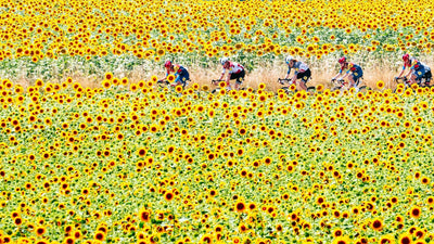 Selgusid Tour de France'il osalevad meeskonnad