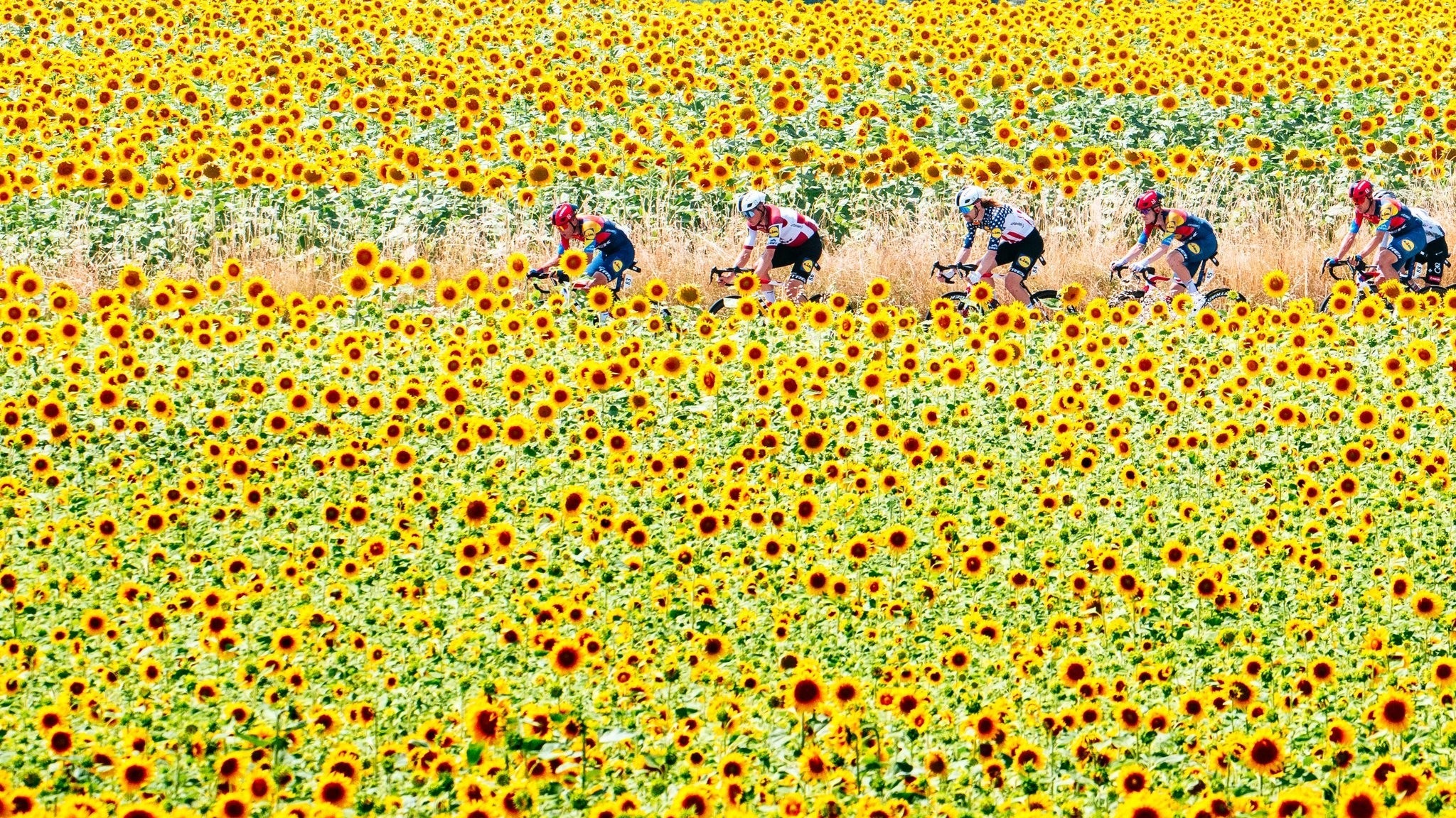 Selgusid Tour de France'il osalevad meeskonnad