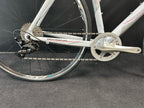 Ratas Ridley Tempo